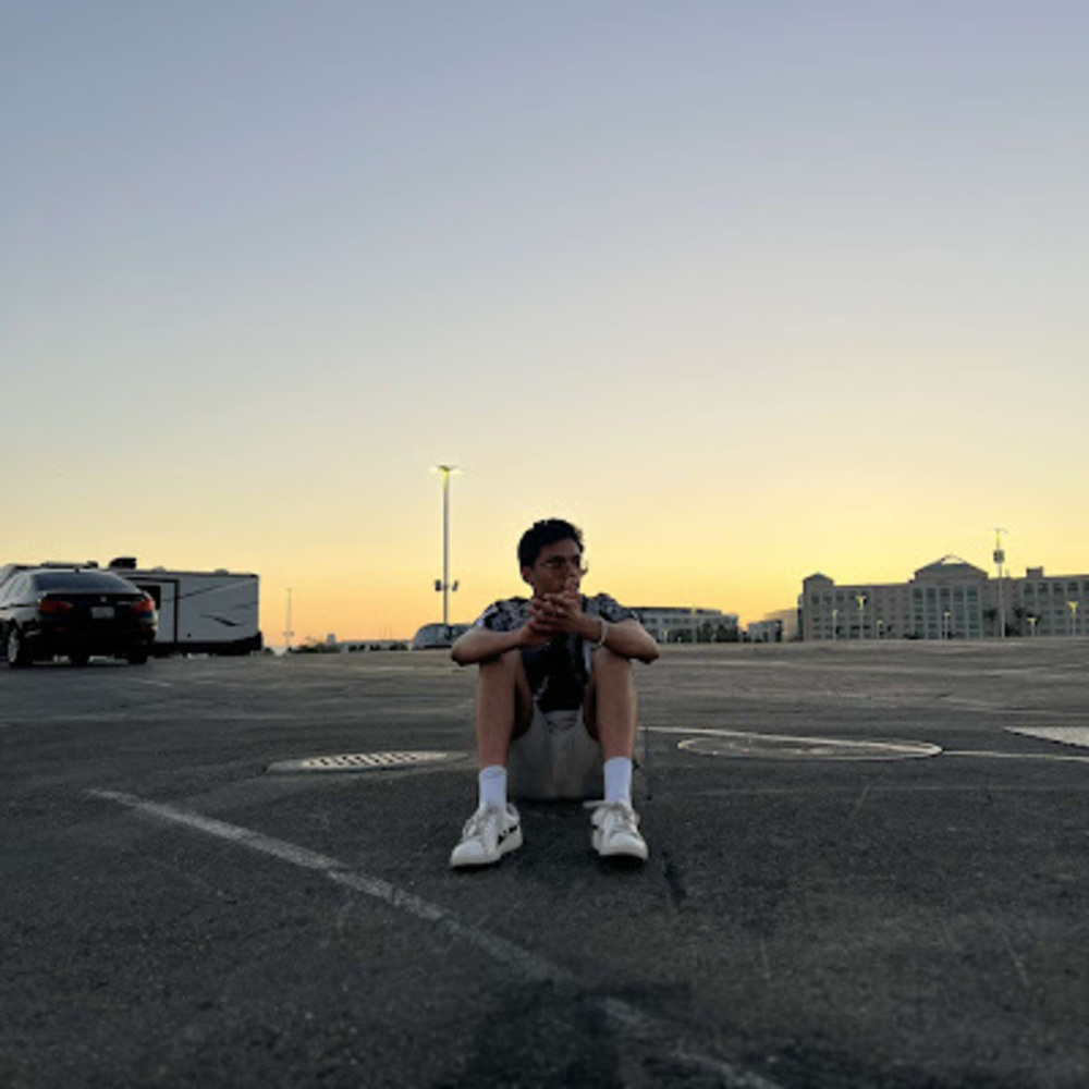 Meet your Posher, Krishna